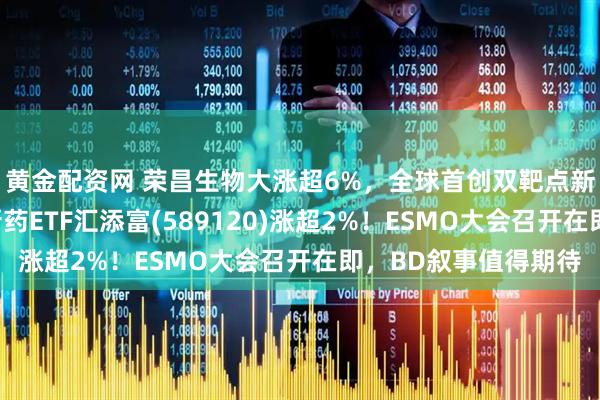 黄金配资网 荣昌生物大涨超6%，全球首创双靶点新药获受理！科创创新药ETF汇添富(589120)涨超2%！ESMO大会召开在即，BD叙事值得期待