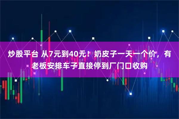 炒股平台 从7元到40元！奶皮子一天一个价，有老板安排车子直接停到厂门口收购