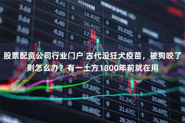 股票配资公司行业门户 古代没狂犬疫苗,被狗咬了则怎么办?有一土方1800年前就在用